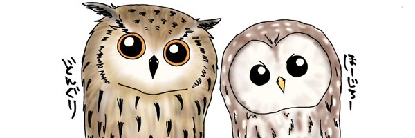 DonchanOwl Profile Banner