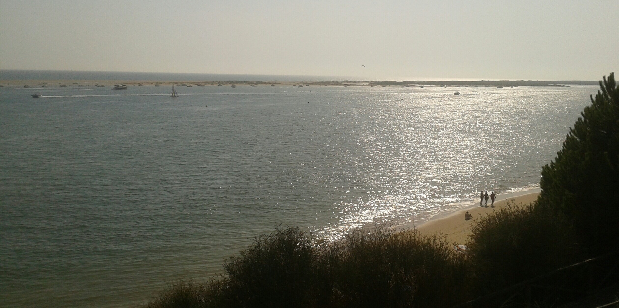 MARIA J LOPEZ C banner