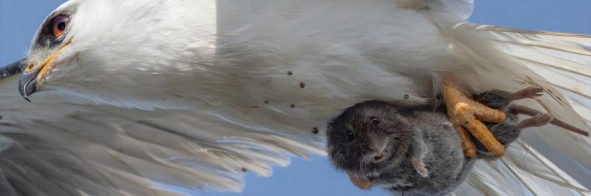 Forgot What I Wanted To Say banner