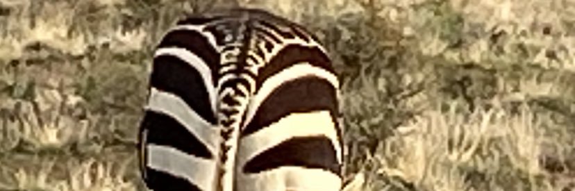 liseewins's profile banner image