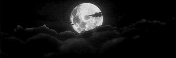 CptCqt Profile Banner