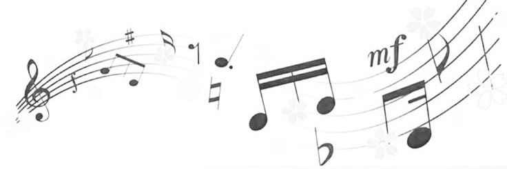 MacacoletaS2's profile banner image
