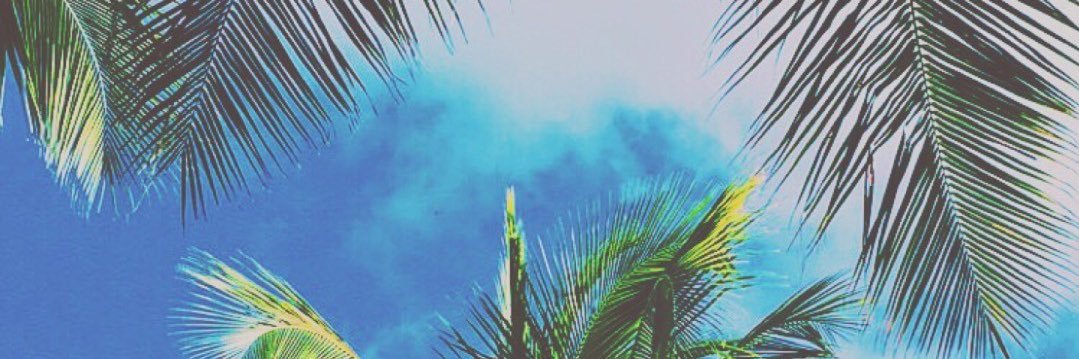 Papi_the_Gunner banner