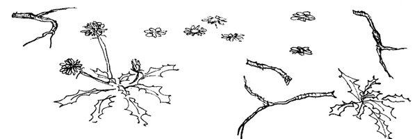 dfdfblbl1 Profile Banner
