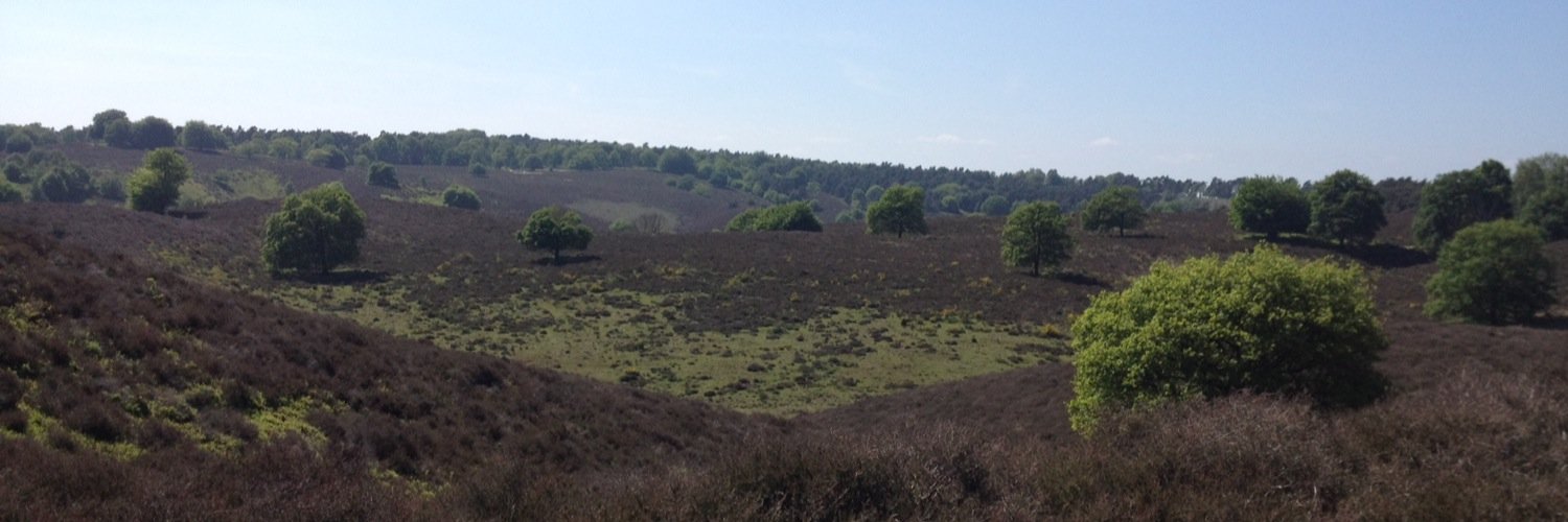 Martin Bröcker banner
