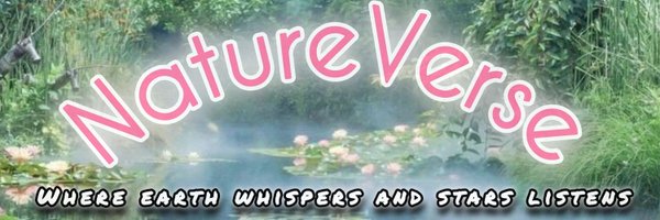 NeetuVerse Profile Banner
