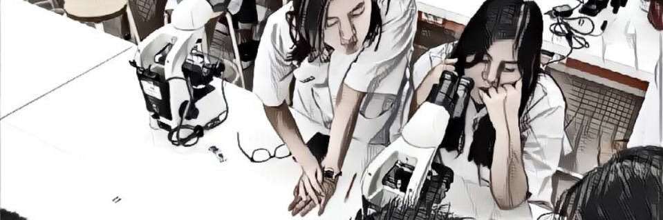 nadyabarasa's profile banner image