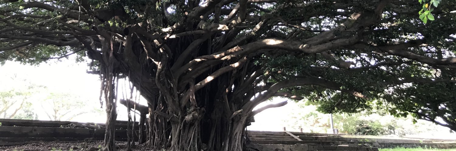 furari24's profile banner image