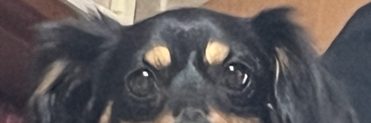 beardKOKOK's profile banner image