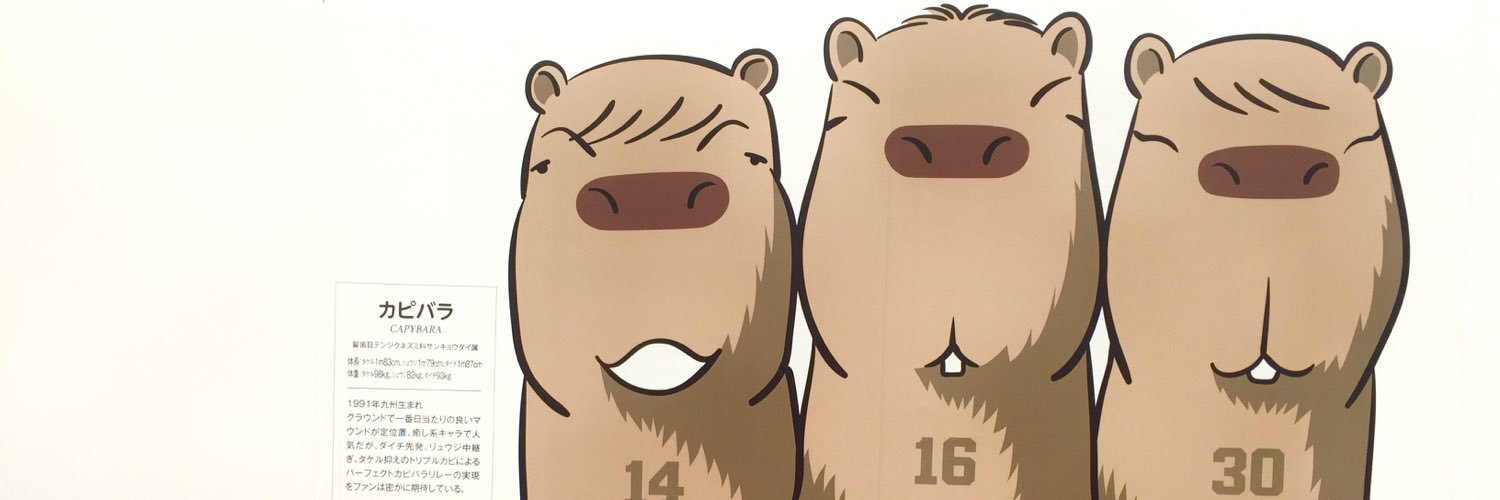 carp1_forever's profile banner image