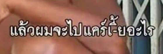 bellipop🦋✨'s banner
