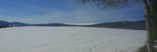 michiwildi Profile Banner