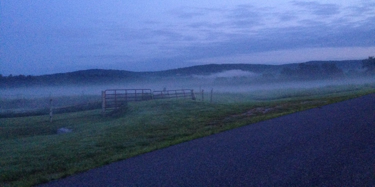 Kate Burdsall banner