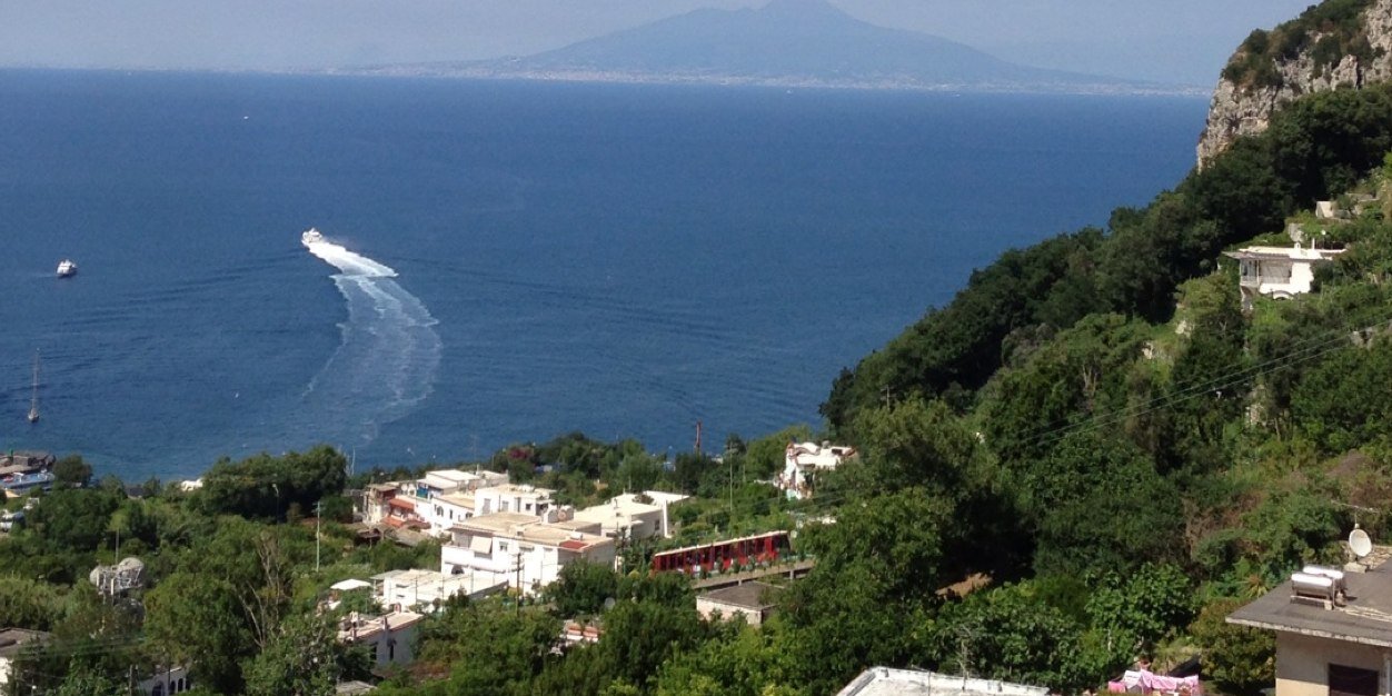 Brian Winsor 😎 banner