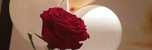 Mennatullah_k's profile banner image