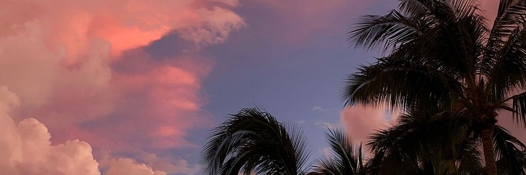 candeeaimino's profile banner image