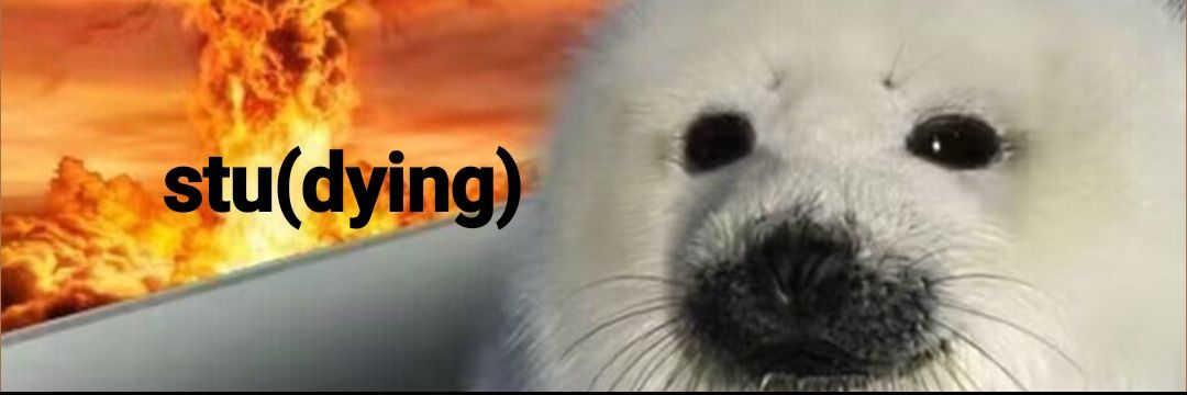abbi⭑²⁶ banner