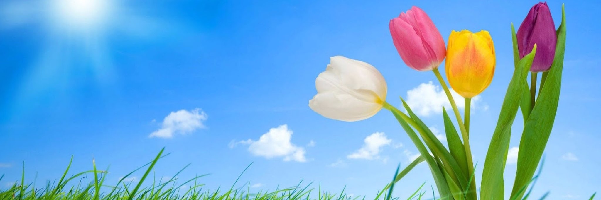 India Plus banner