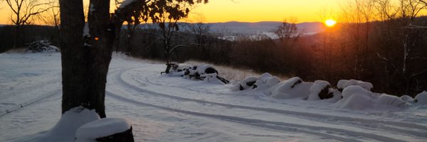 h_quant Profile Banner