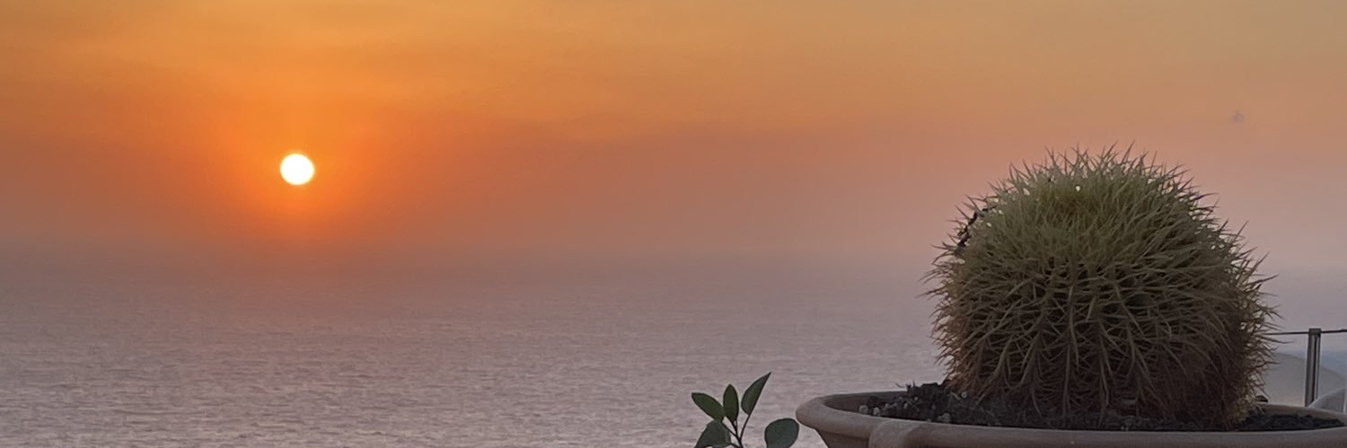 alix0619's profile banner image