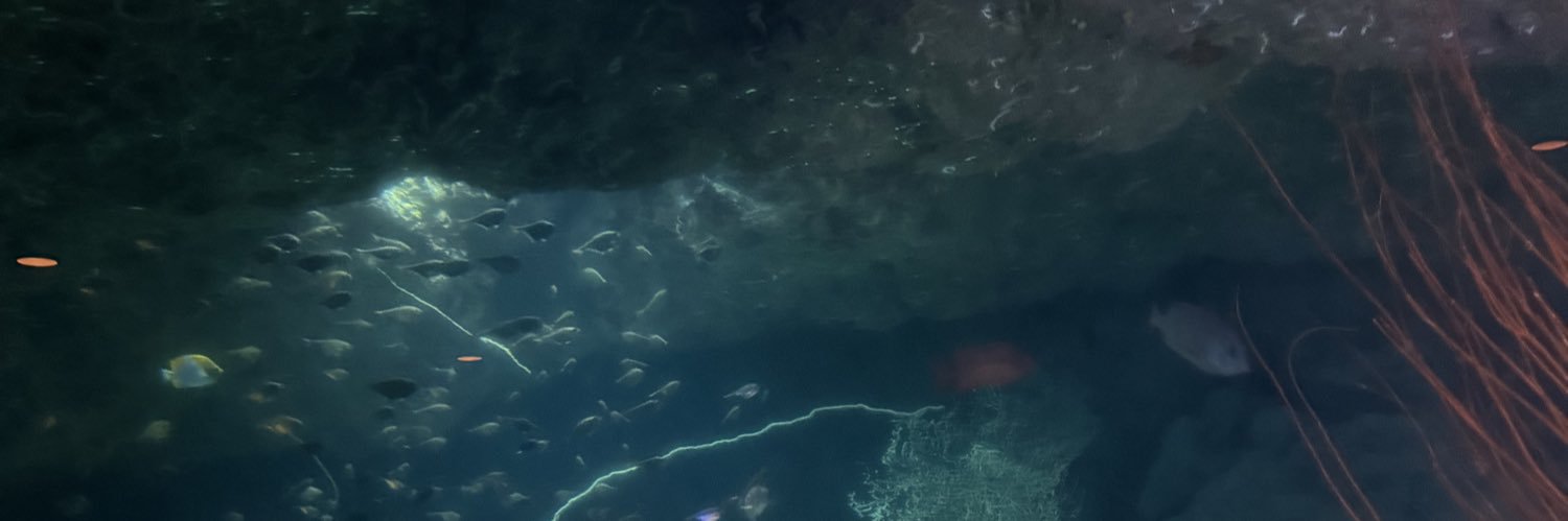 r2_rn1's profile banner image