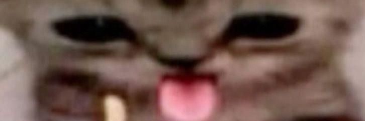 chopped final boss banner