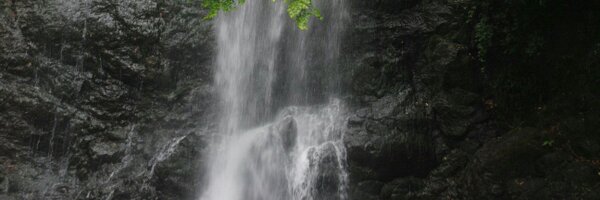 satoweb Profile Banner