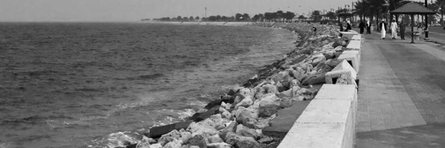 مُدثر 🇸🇩's banner