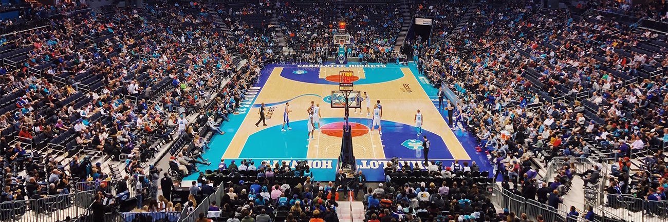 #1 Hornets Fan🐝 banner