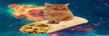 volupt banner
