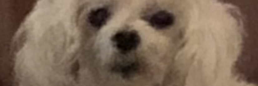 eetheis's profile banner image