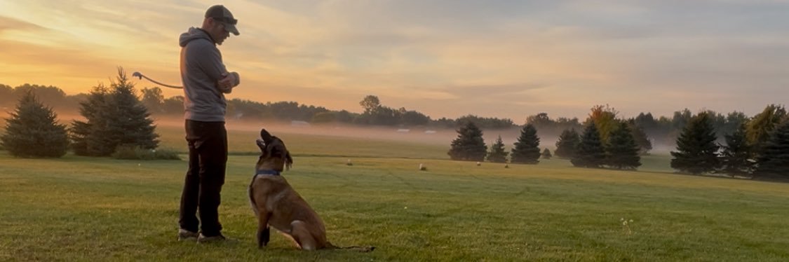 Only malinois banner