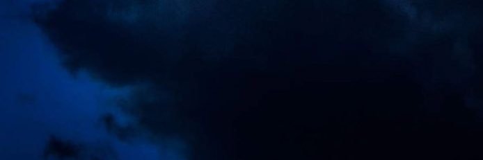 jasmine's banner