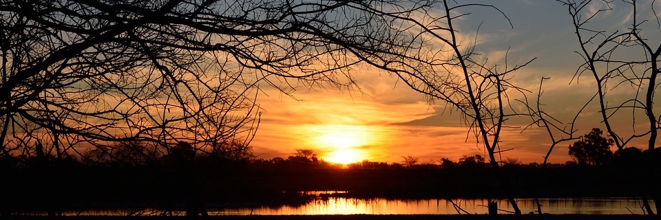 Sara1994B's profile banner image
