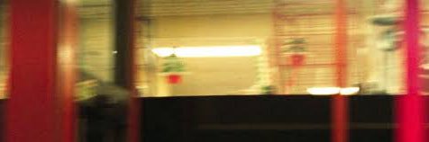 zsayedt's profile banner image