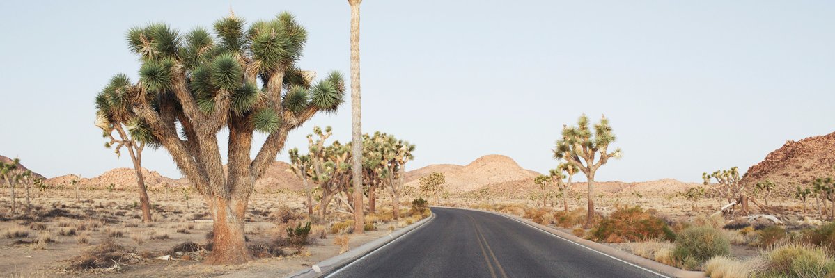 alverto gómez banner