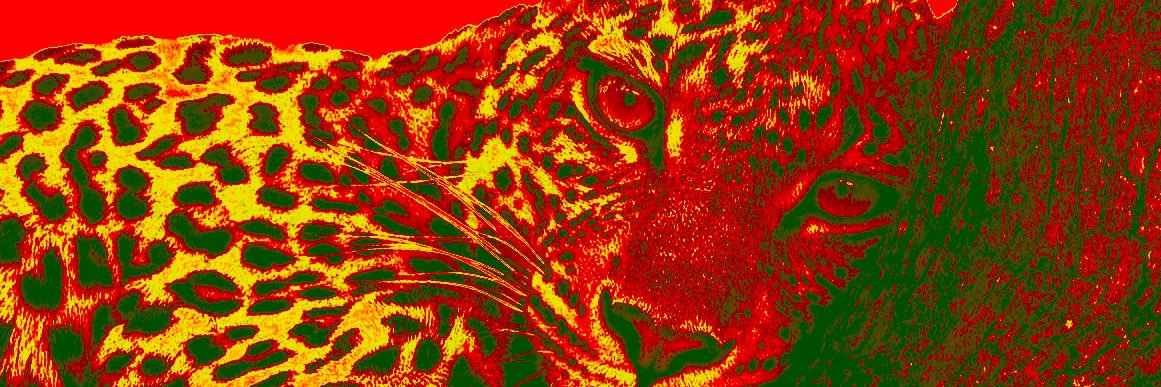 Pedrin_hm7's profile banner image