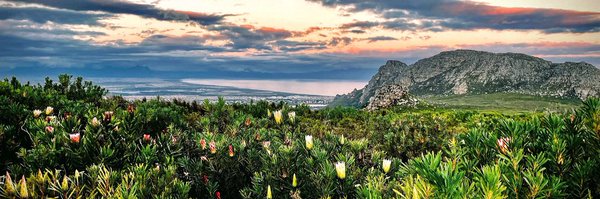 FTZMayet Profile Banner