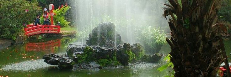 Jane🌻🌻🌻 banner