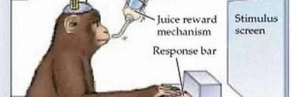 LabGuy94 Profile Banner