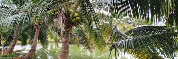 KoratPT Profile Banner