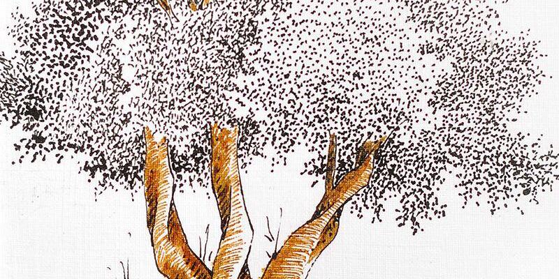 emrah1101's profile banner image