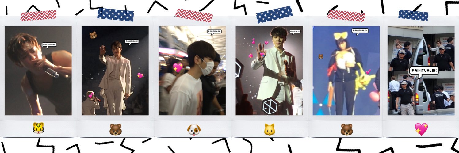 นินีนี่’เอส ʕ•ᴥ•ʔ banner
