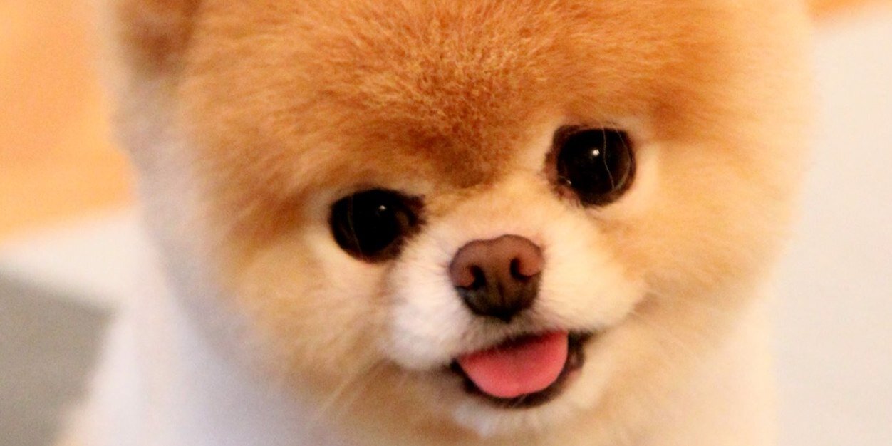 kirsjohn's profile banner image