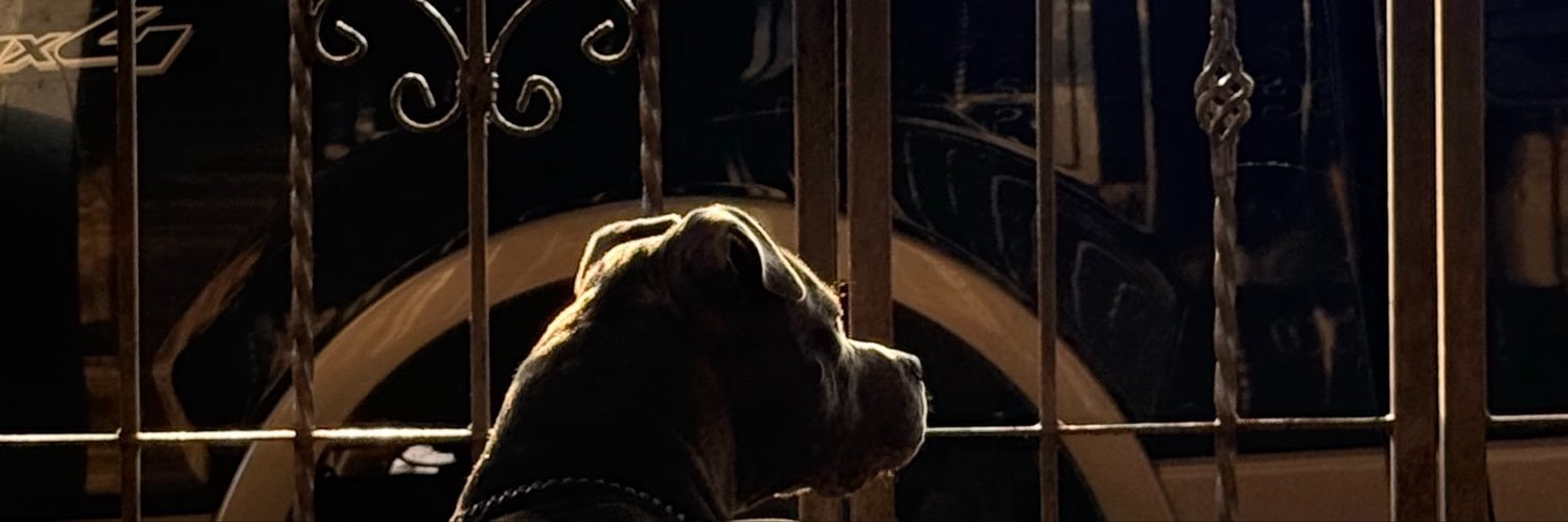 pako_jv's profile banner image