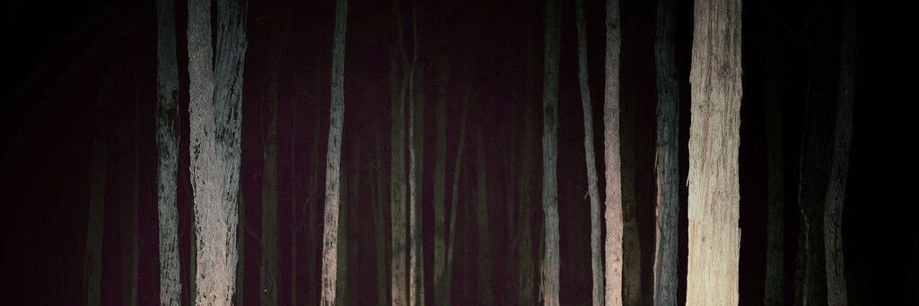 nova ☆ banner