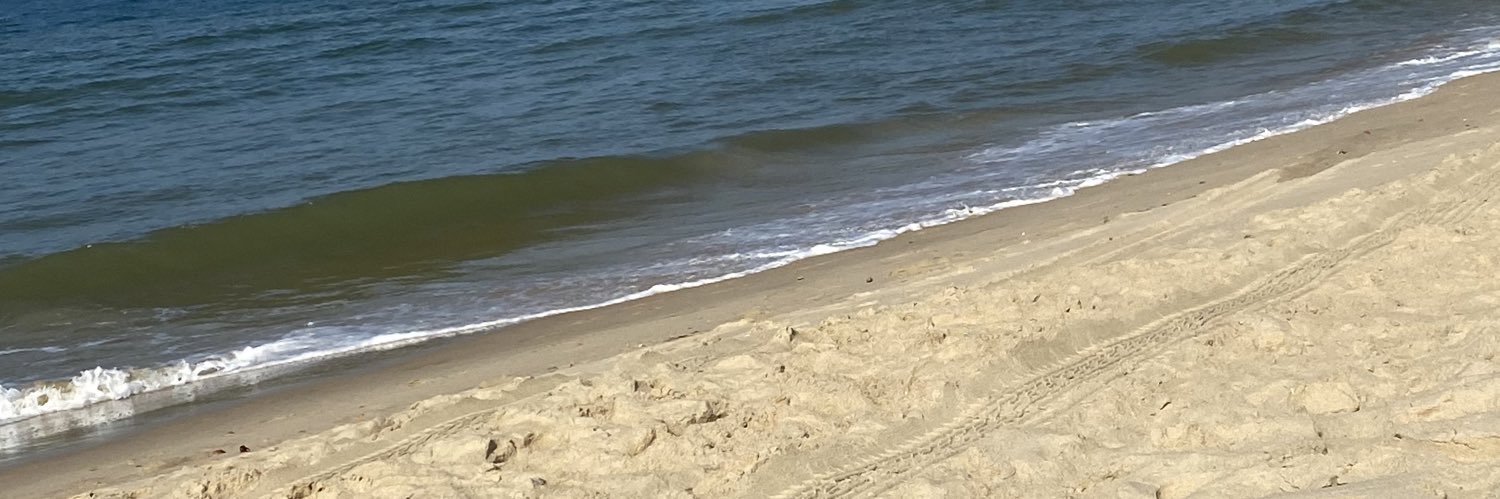 Macarena Serrano banner