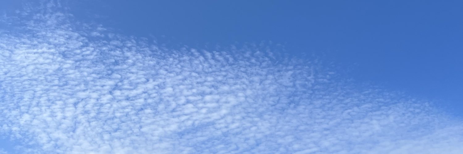 kayari2's profile banner image