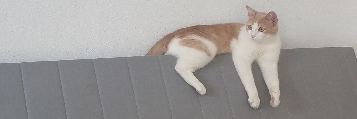 Maik banner