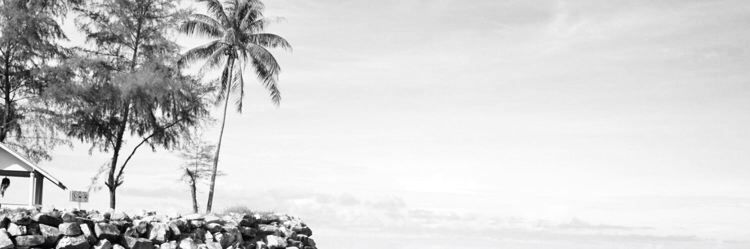 PatcharinPM's profile banner image